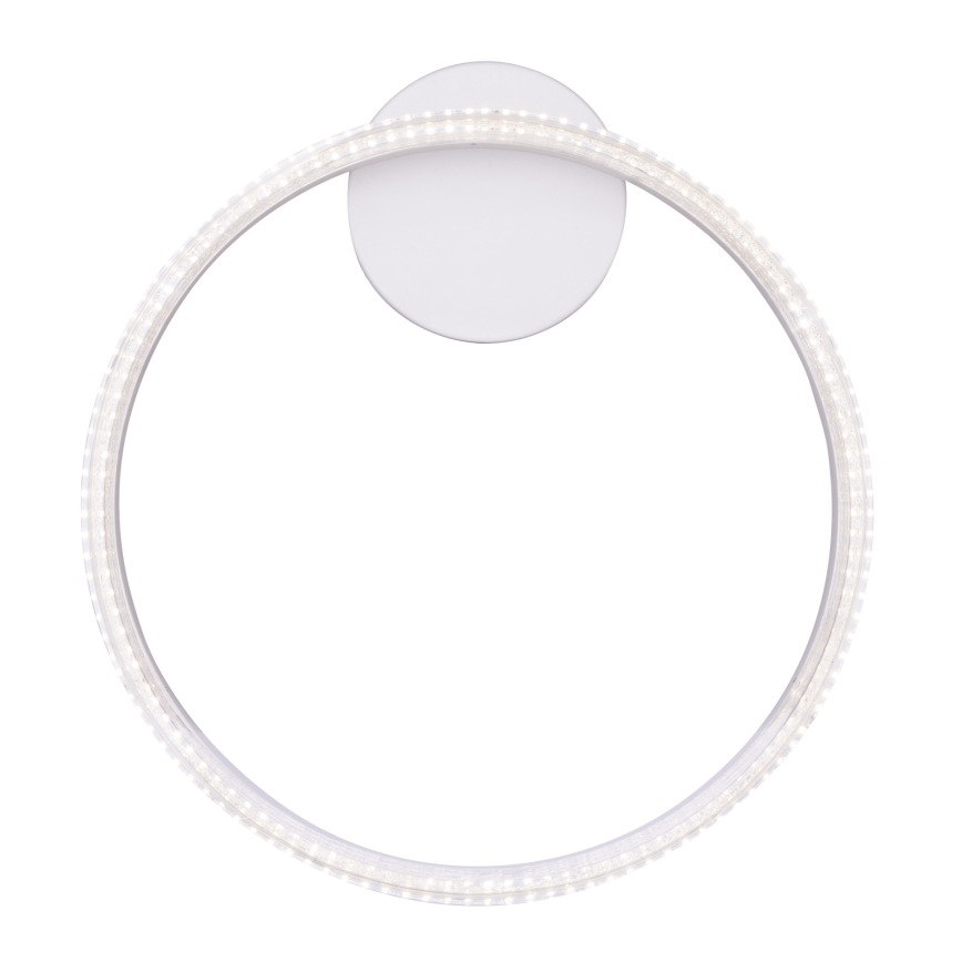 Globo - Світлодіодний стельовий світильник LED/24W/230V