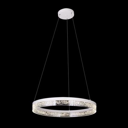 Globo - Світлодіодна підвісна люстра 1xLED/36W/230V