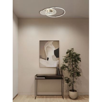 Globo - LED стельовий світильник з регулюванням яскравості LED/24W/230V 2700-6500K сріблястий + пульт дистанційного керування