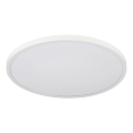 Globo - LED-потолочный светильник, 20 Вт / 230 В, 4000 К, диаметр 30 см, белый