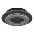 Globo - LED потолочный светильник LED/12W/230V 3000/4000/6500K диаметр 20 см антрацит