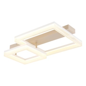 Globo - LED стельовий світильник LED/24W/230V 3000K 33x53 см