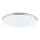 Globo - LED стельовий світильник LED/24W/230V