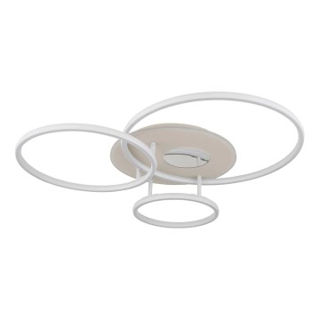 Globo - LED-стельовий світильник з регульованою яскравістю LED/40W/230V 2700-6500K 70x80,7 cm + пульт дистанційного керування