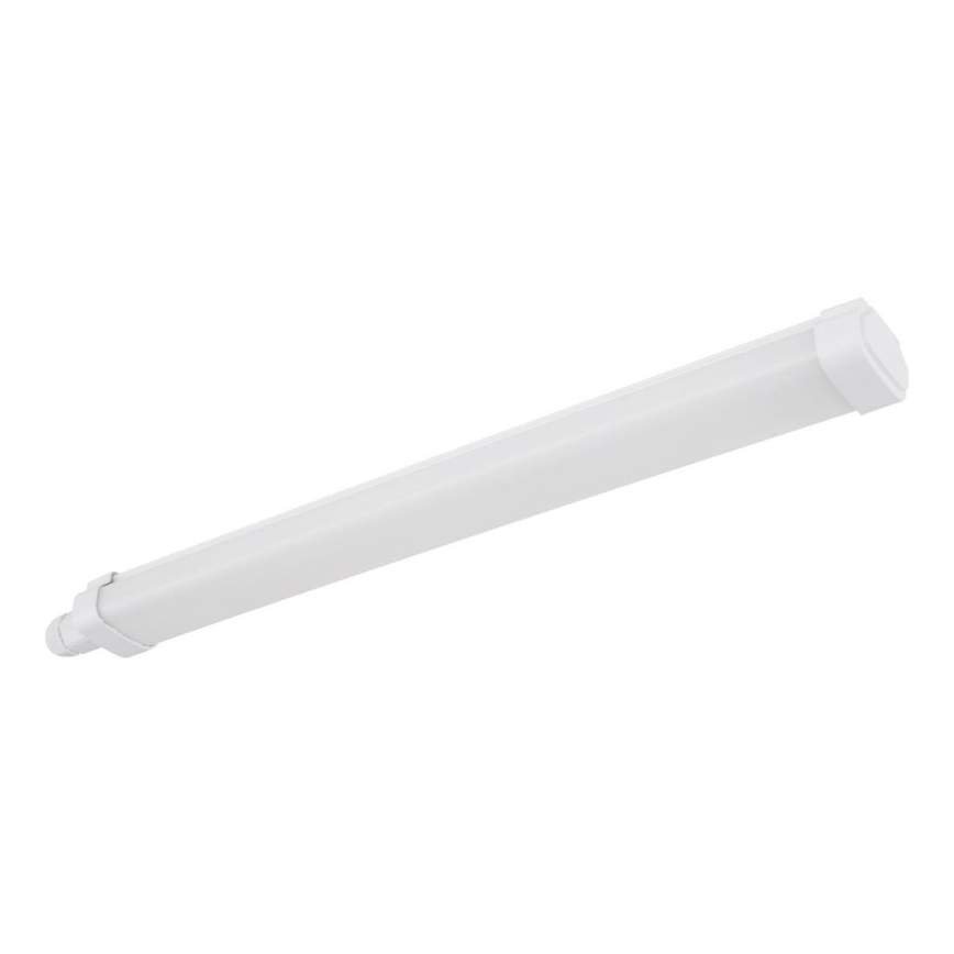 Globo - LED світильник для підсвітки стільниці LED/15W/230V 55 см IP65