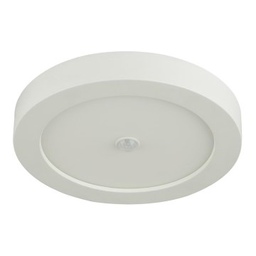 Globo - LED Зовнішній стельовий світильник із датчиком LED/18W/230V IP44