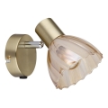 Globo - Настенный точечный светильник 1xE14/40W/230V золотистый