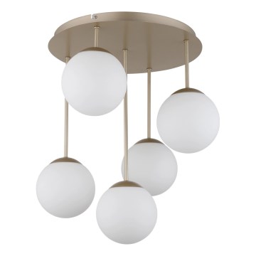 Globo - Накладна люстра 5xE14/25W/230V латунь