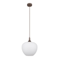 Globo - Підвісна люстра 1xE27/60W/230V діаметр 29 см білий/коричневий