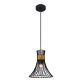 Globo - Підвісна люстра 1xE27/60W/230V