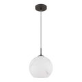 Globo - Підвісна люстра на тросі 1xE27/60W/230V, діаметр 25 см