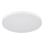 Globo - потолочный светильник LED, 15 Вт/230 В, 4000 К, диаметр 23 см, белый
