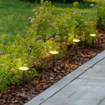 Globo - сонячна LED-гірлянда 5xLED/3V IP44 300 mAh 2,2 m у вигляді квітів