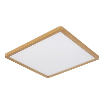 Globo - Стельовий LED світильник для ванної з регулюванням яскравості LED/24W/230V 3000K IP44 42x42 см латунь