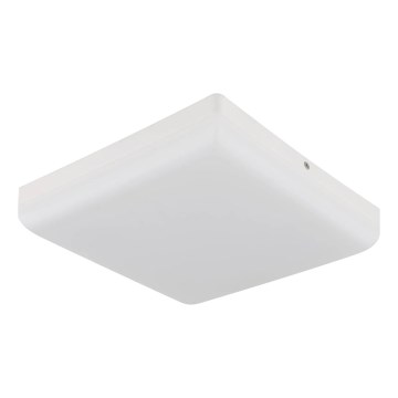Globo - Стельовий LED світильник LED/12W/230V 4000K 22x22 см білий
