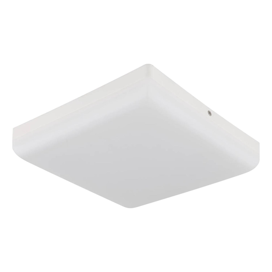 Globo - Стельовий LED світильник LED/12W/230V 4000K 22x22 см білий