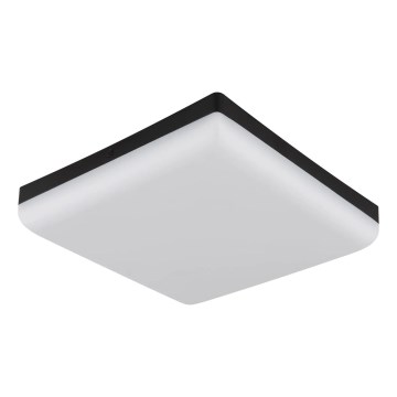 Globo - Стельовий LED світильник LED/12W/230V 4000K 22x22 см чорний