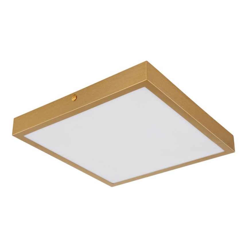 Globo - Стельовий LED світильник LED/15W/230V 25x25 см