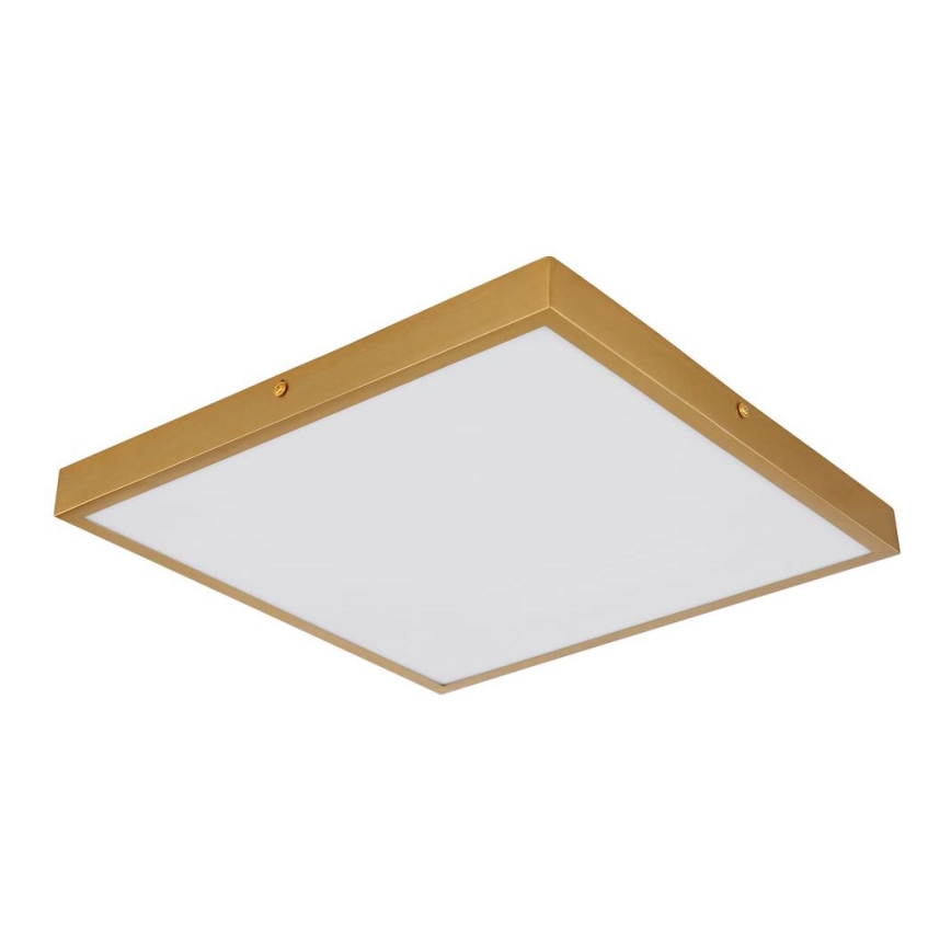 Globo - Стельовий LED світильник LED/22W/230V 35x35 см