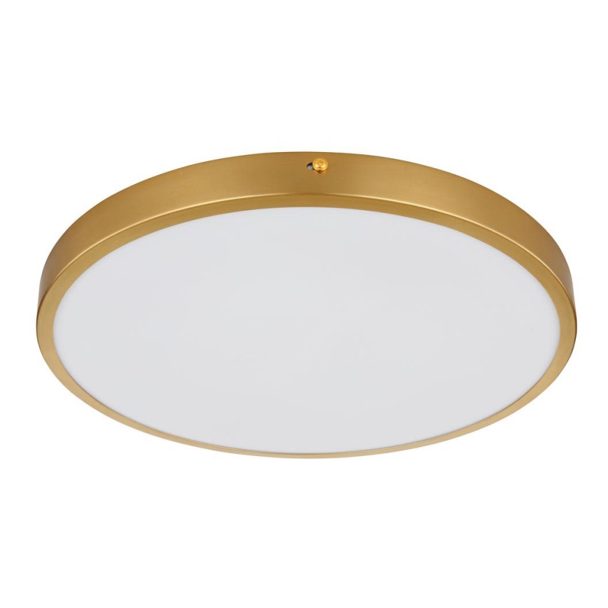 Globo - Стельовий LED світильник LED/22W/230V діаметр 35 см