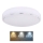 Globo - Стельовий LED світильник LED/24W/230V 3000/4000/6000K діаметр 37,5 см