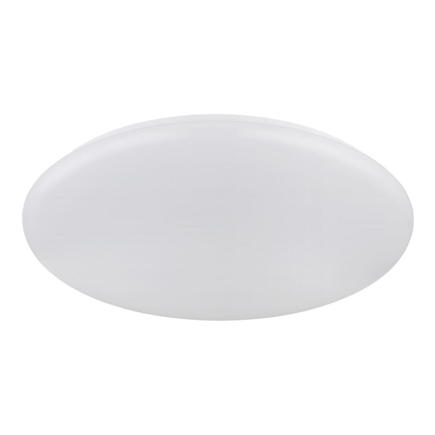 Globo - Стельовий LED світильник LED/24W/230V діаметр 49,5 см білий