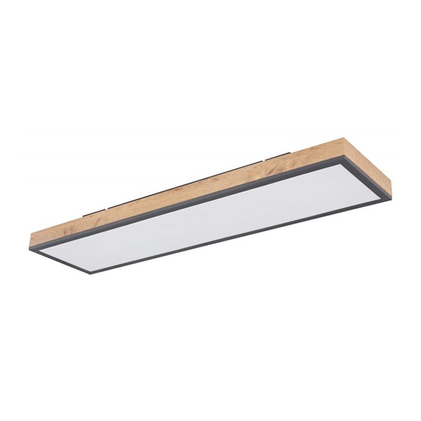 Globo - Стельовий LED світильник LED/24W/230V