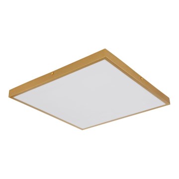 Globo - Стельовий LED світильник LED/30W/230V 45x45 см