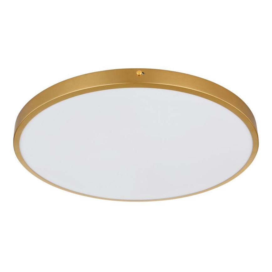 Globo - Стельовий LED світильник LED/30W/230V діаметр 45 см