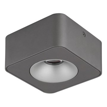 Globo - Стельовий LED світильник LED/6,5W/230V 11,7x11,7 см