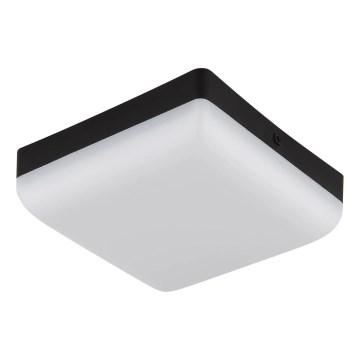 Globo - Стельовий LED світильник LED/8W/230V 4000K 12x12 см чорний