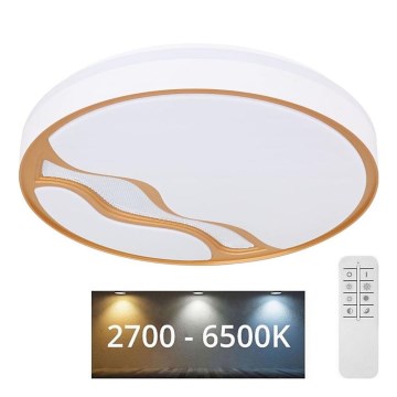 Globo - Стельовий LED світильник з регулюванням яскравості LED/30W/230V 2700K/4000K/6500K + дистанційне керування