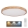 Globo - Стельовий LED світильник з регулюванням яскравості LED/60W/230V 3000-6000K + дистанційне керування