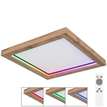 Globo - Стельовий RGBW-світильник з регулюванням яскравості LED/24W/230V 2700-6000K + пульт дистанційного керування