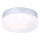 Globo - Светильник для ванной комнаты 1xE27/60W/230V диаметр 18,4 см IP44