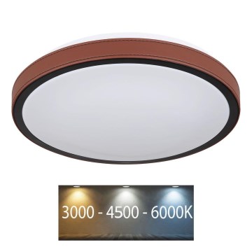 Globo - Светодиодный потолочный светильник LED/12W/230V 3000/4500/6000K диаметр 30 см