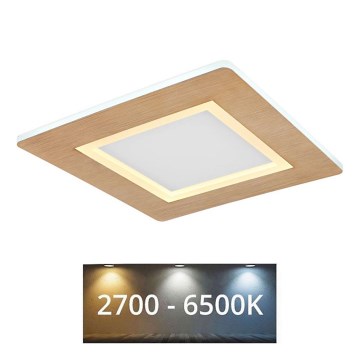 Globo - Светодиодный потолочный светильник LED/23W/230V