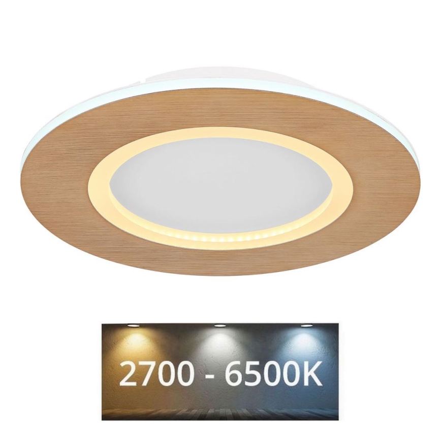 Globo - Светодиодный потолочный светильник LED/23W/230V