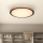 Globo - Светодиодный потолочный светильник LED/24W/230V 437 мм 3000/4500/6000K