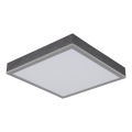 Globo - Светодиодный потолочный светильник LED/12W/230V 3000K 30x30 см
