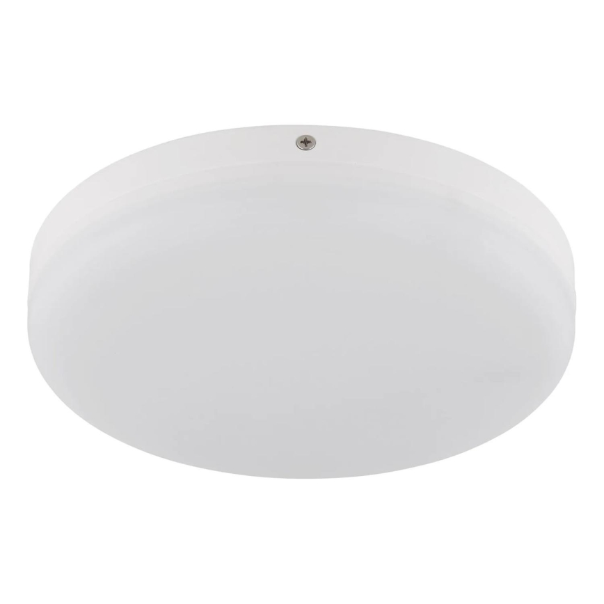 Globo - Светодиодный потолочный светильник LED/12W/230V 4000K диаметр 22 см белый
