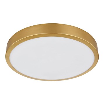 Globo - Светодиодный потолочный светильник LED/15W/230V диаметр 25 см