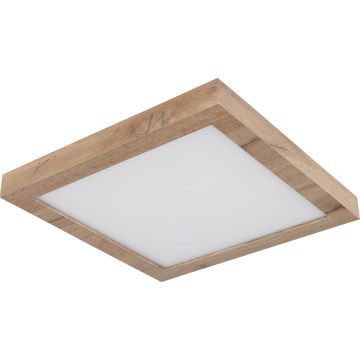 Globo - Светодиодный потолочный светильник LED/16W/230V коричневый