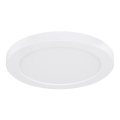 Globo - Светодиодный потолочный светильник LED/18W/230V 3000/4000/6500K белый