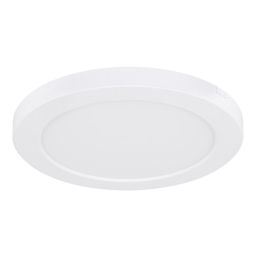 Globo - Светодиодный потолочный светильник LED/18W/230V 3000/4000/6500K белый