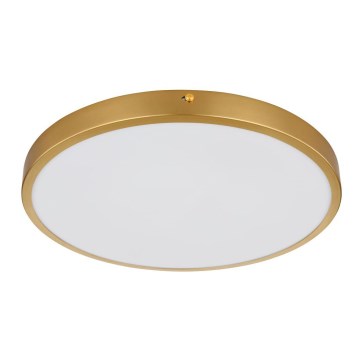 Globo - Светодиодный потолочный светильник LED/22W/230V диаметр 35 см