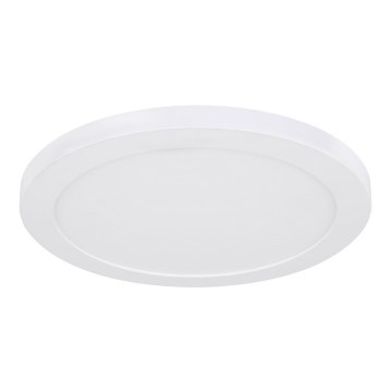 Globo - Светодиодный потолочный светильник LED/24W/230V 3000/4000/6500K белый