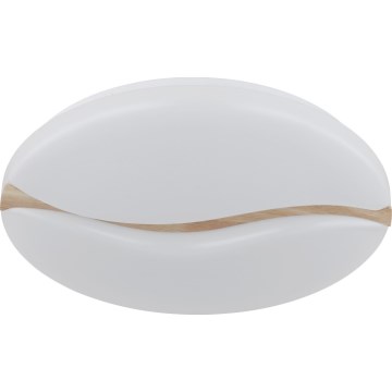 Globo - Светодиодный потолочный светильник LED/24W/230V 3000/4200/6000K диаметр 33 см