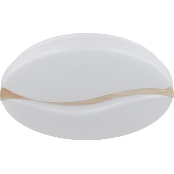 Globo - Светодиодный потолочный светильник LED/24W/230V 3000/4200/6000K диаметр 39 см
