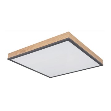 Globo - Светодиодный потолочный светильник LED/24W/230V
